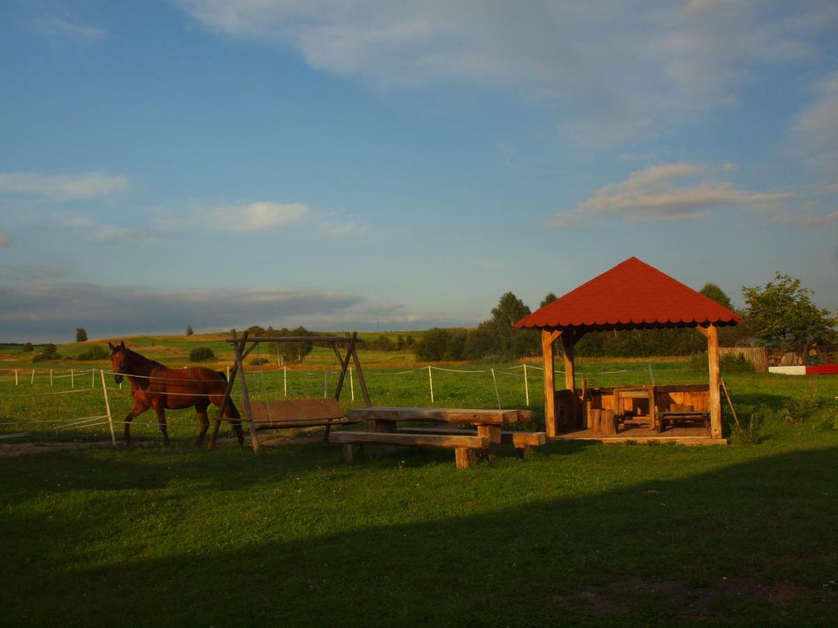 U Babci Krysi Farm stay Gorno (Rzeszow)